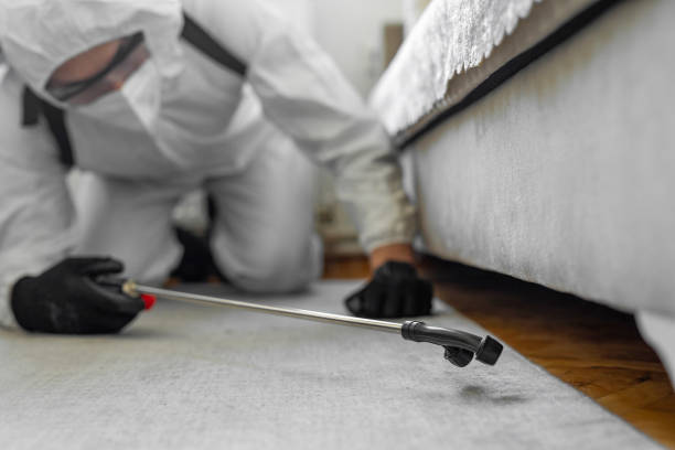 Professional Bed Bug Control technician working in Woodbranch, TX