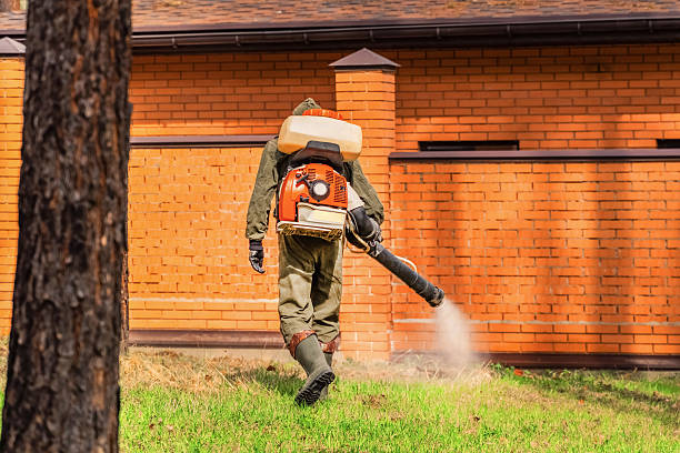 Trusted Bed Bug Control service in Woodbranch, TX - Nex Pest Control